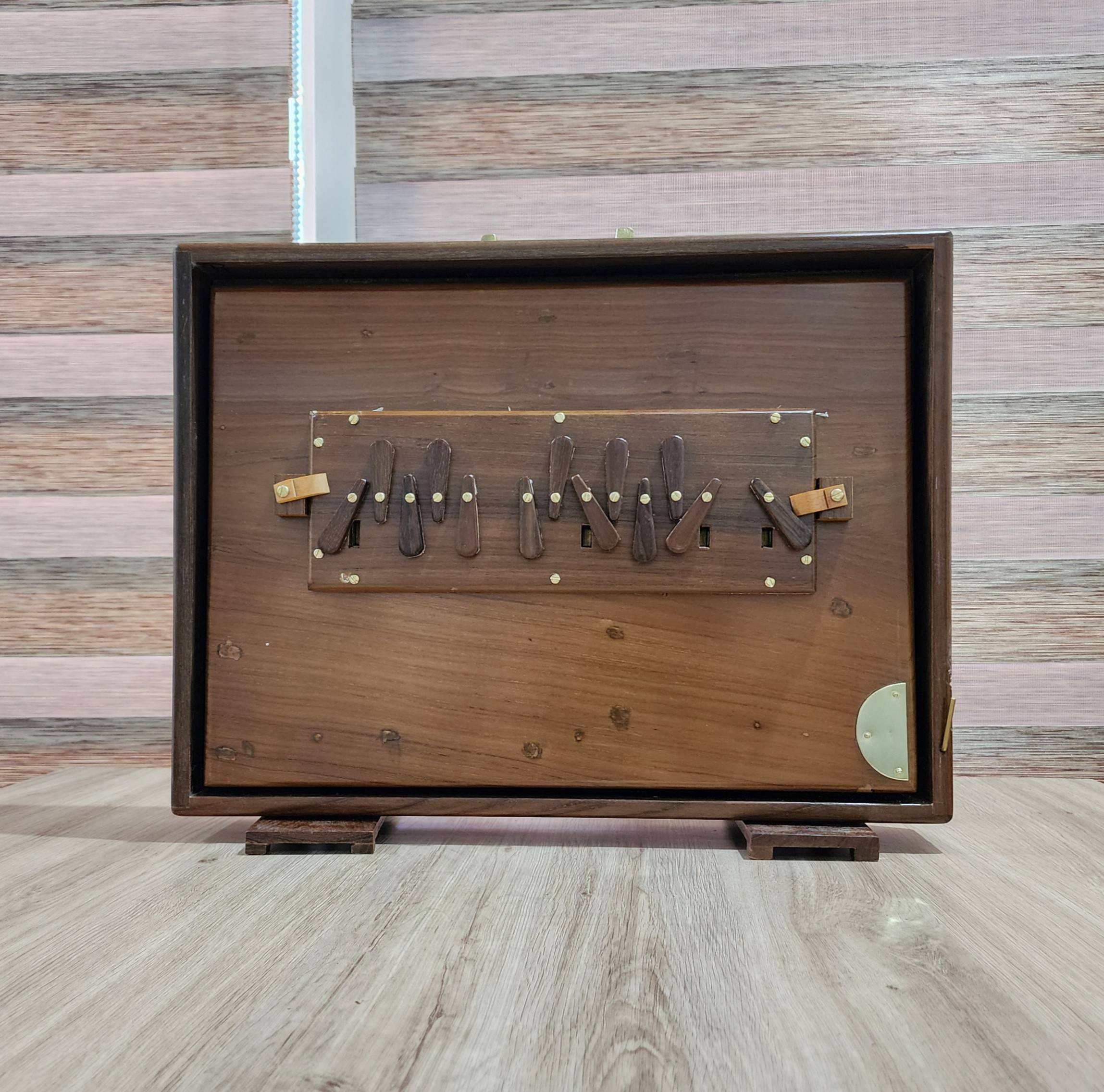 Shriji Pure Teak Wood Shruti Box 13 Keys C3 to C4, 440Hz/432Hz Tuning, Carry Bag Included 16x12x3 inch - View 3