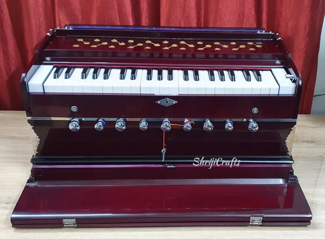 Professional 42-Key Harmonium – Dark Rosewood Finish with Chudidaar Multi-Fold Bellows & Bag – Musician Gift - View 2
