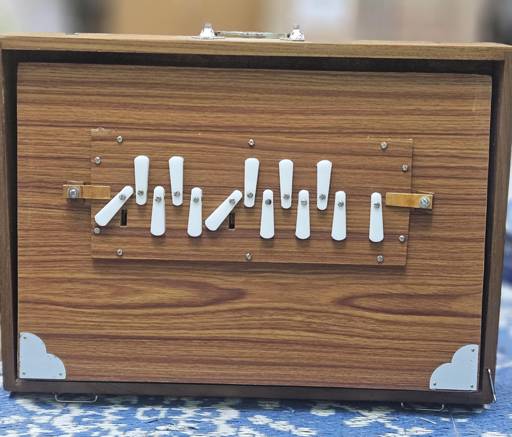 Professional 13-Key Teak Wood Shruti Box – Dual 440Hz & 432Hz Tuning with Carry Bag