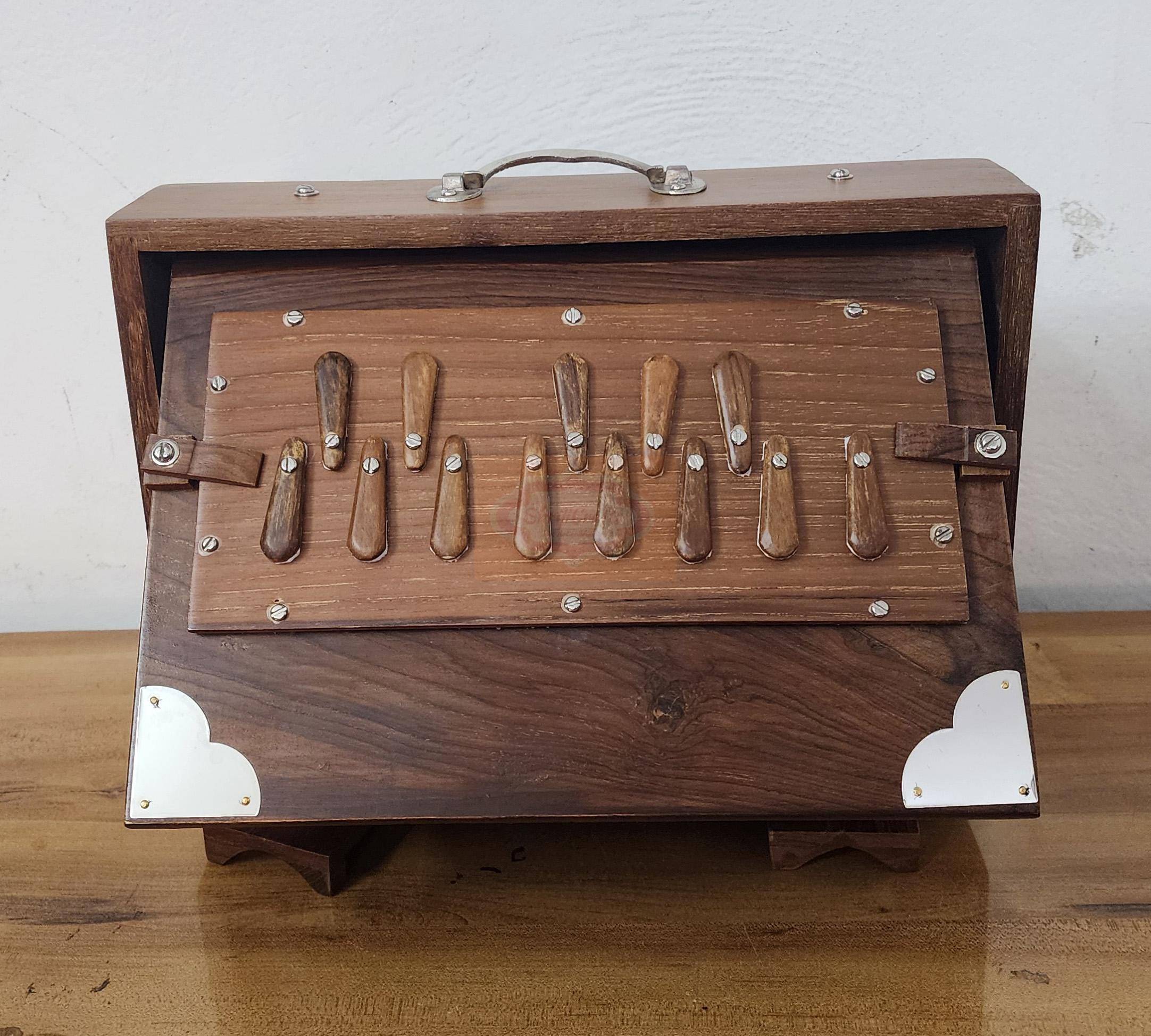 Professional 13-Key Teak Wood Shruti Box – 12x9x3 Inch Indian Instrument with Bag — handcrafted wooden product by Shrijicrafts