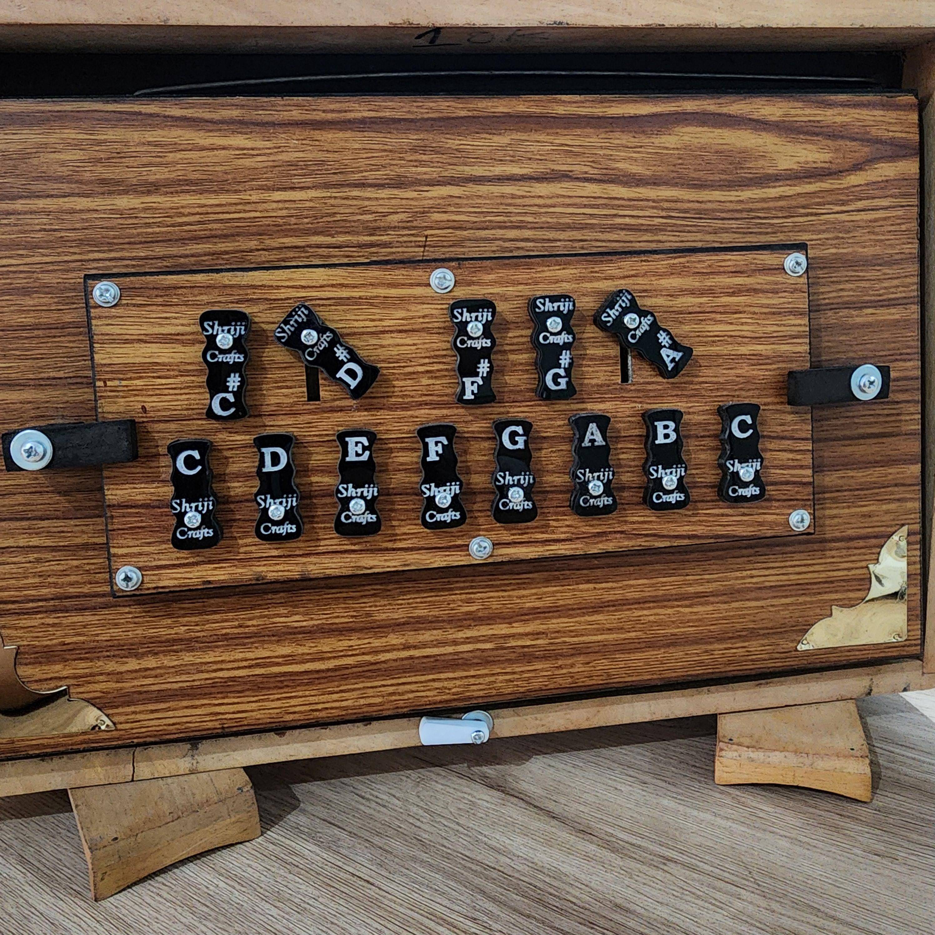 Professional Indian Shruti Box – C3-C4 Tuned, 440Hz/432Hz, Includes Carry Bag, 15X10X3 Inches — handcrafted wooden product by Shrijicrafts